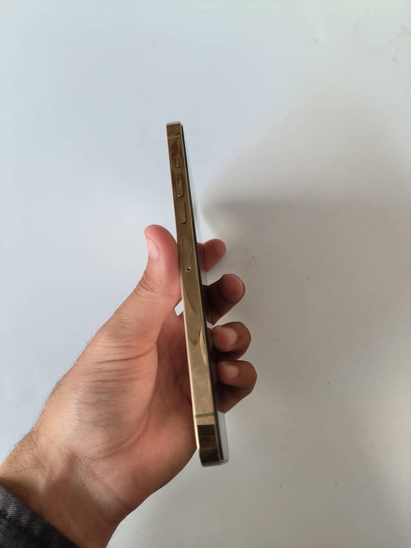 iphone 13 pro max 3