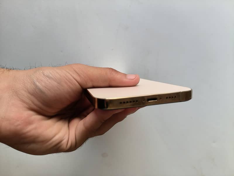 iphone 13 pro max 6