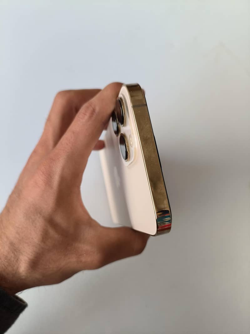 iphone 13 pro max 9