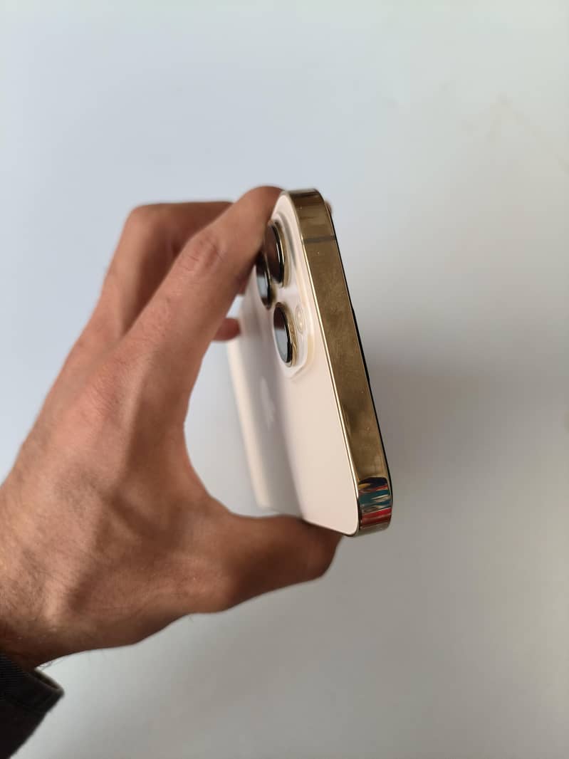 iphone 13 pro max 10