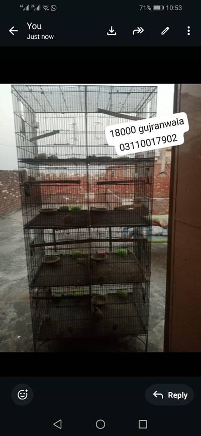 8 porshan cage