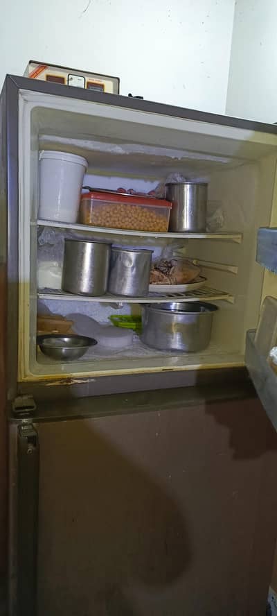 Haier fridge condition need clean