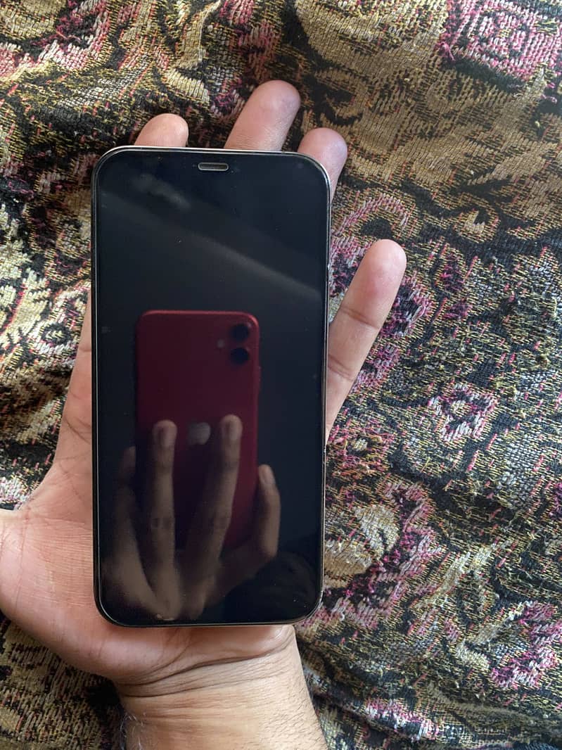iPhone 12 Pro 4
