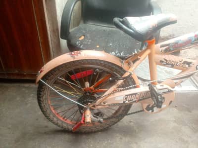 champion bicycle for sale