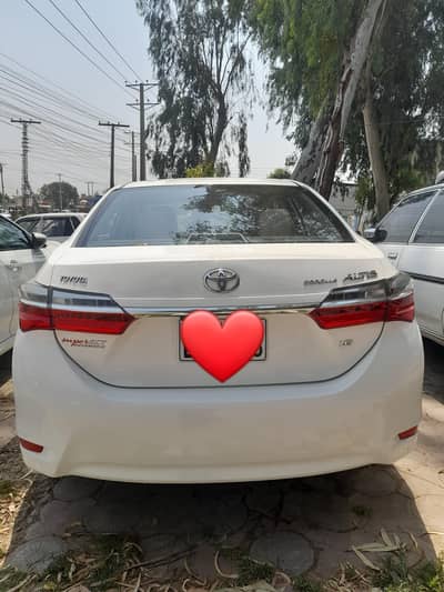 Altis 1.6 2019