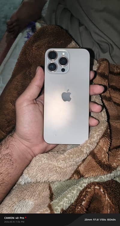 Apple iPhone 13 Pro Max