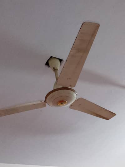 use fan