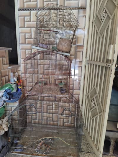 Iron Cages 3 Units