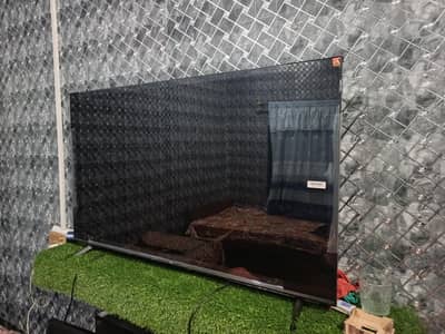 tcl led