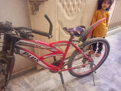 Mountain Cycle, Gaer, Gayer Cycle