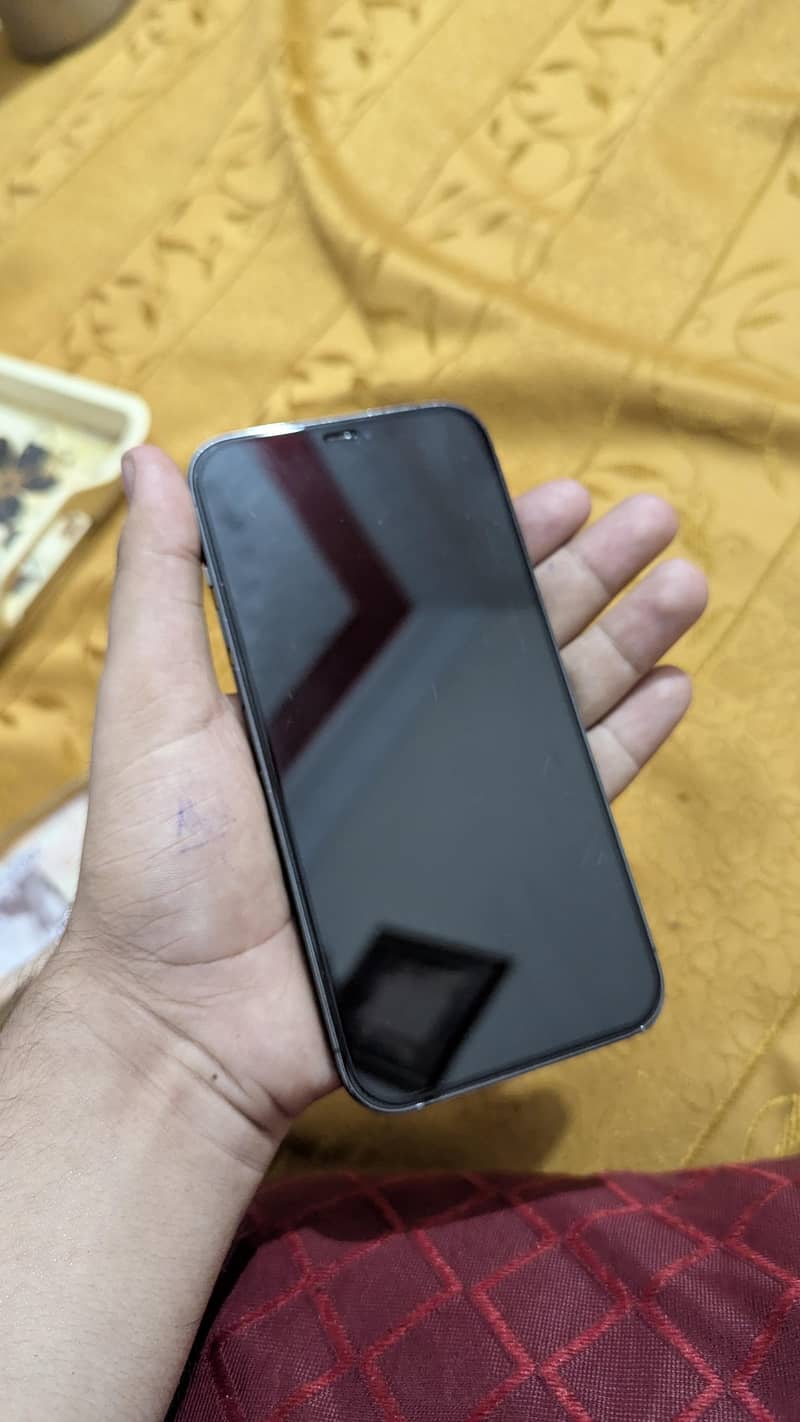 iphone 12 pro max 10