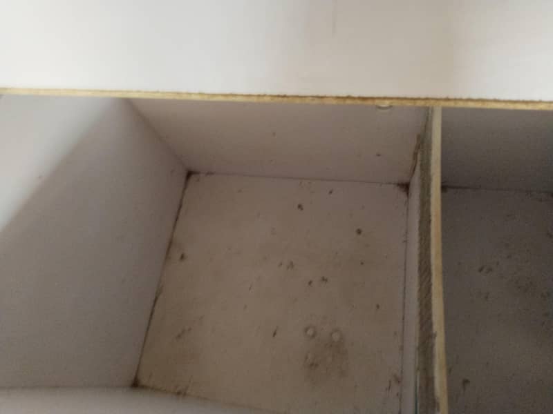 brooder for sale. large brooder. high class brooder 3