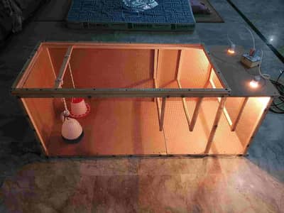 Complete Chicks Brooder or cage for sale. negotiable. urgent sale.