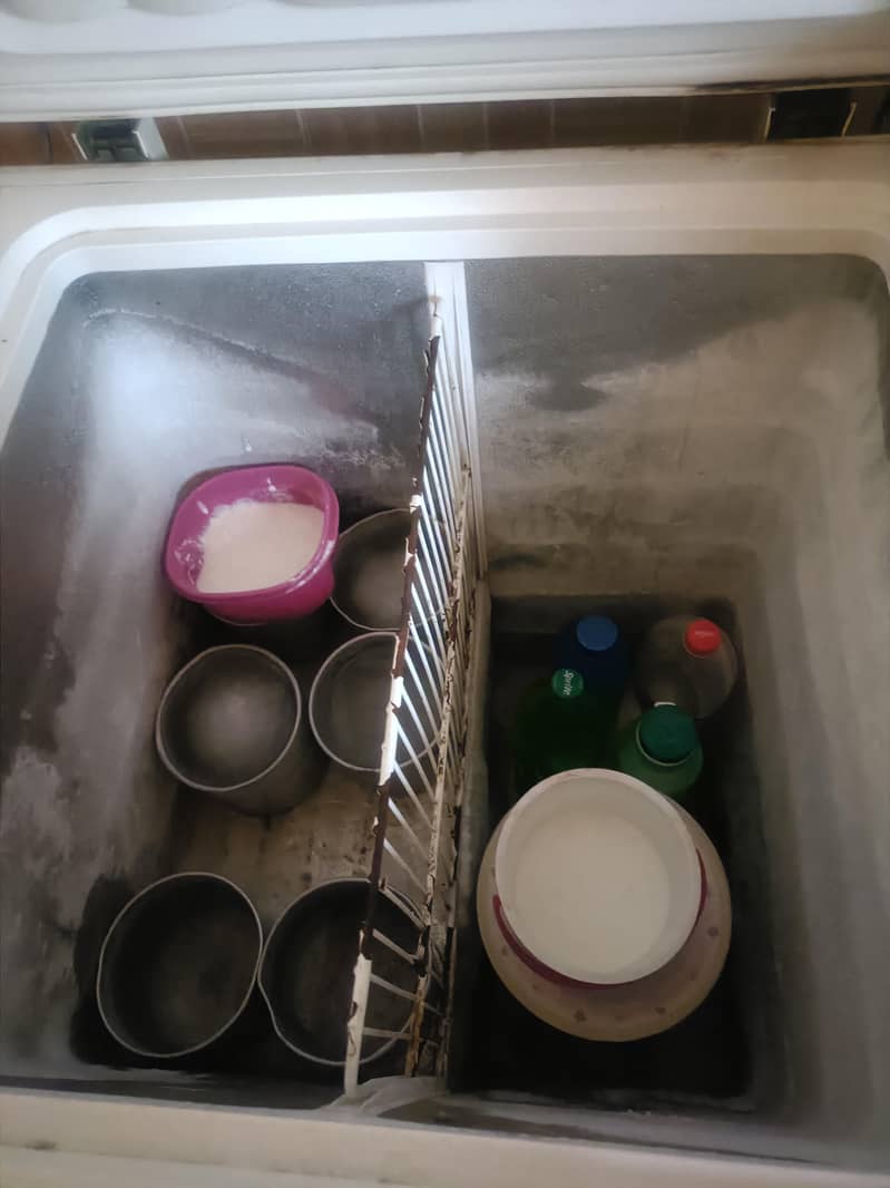 freezer 1