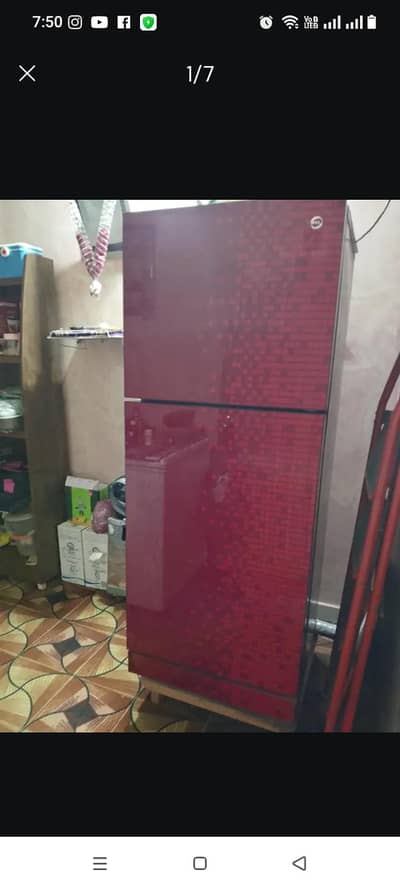pel refrigerator best  10 of 10 condition