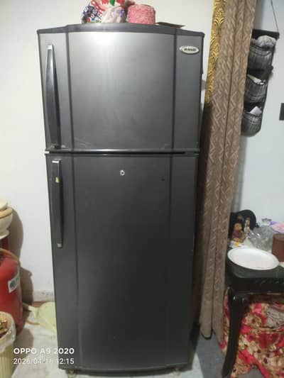 frige