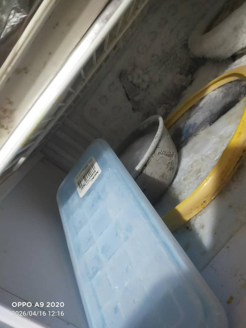frige 1