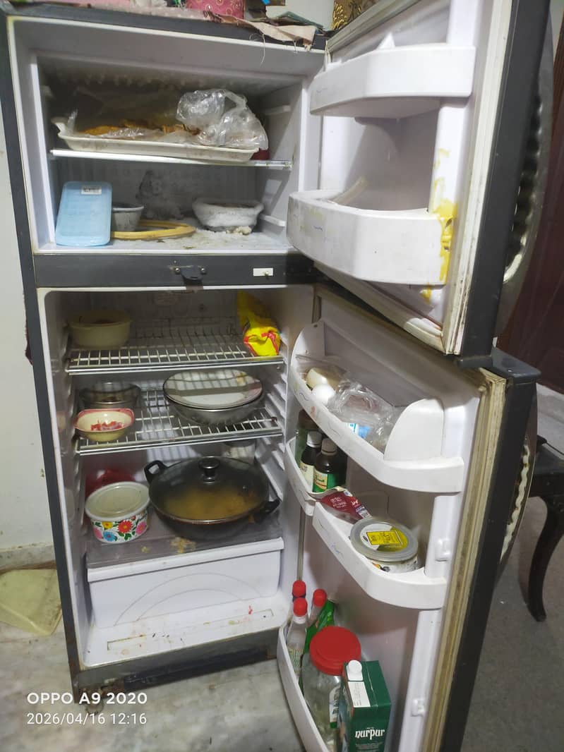 frige 2