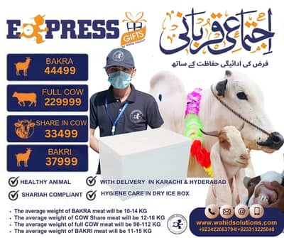 Qurbani Discount | Goat | Bakra | Bakr Qurbani in Karachi | Hyderabad