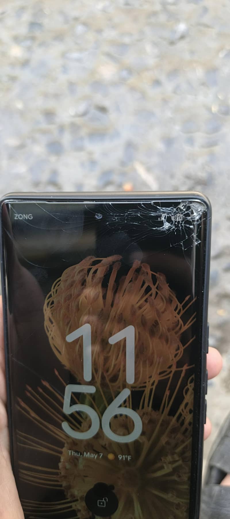 PIXEL 6 pro 1