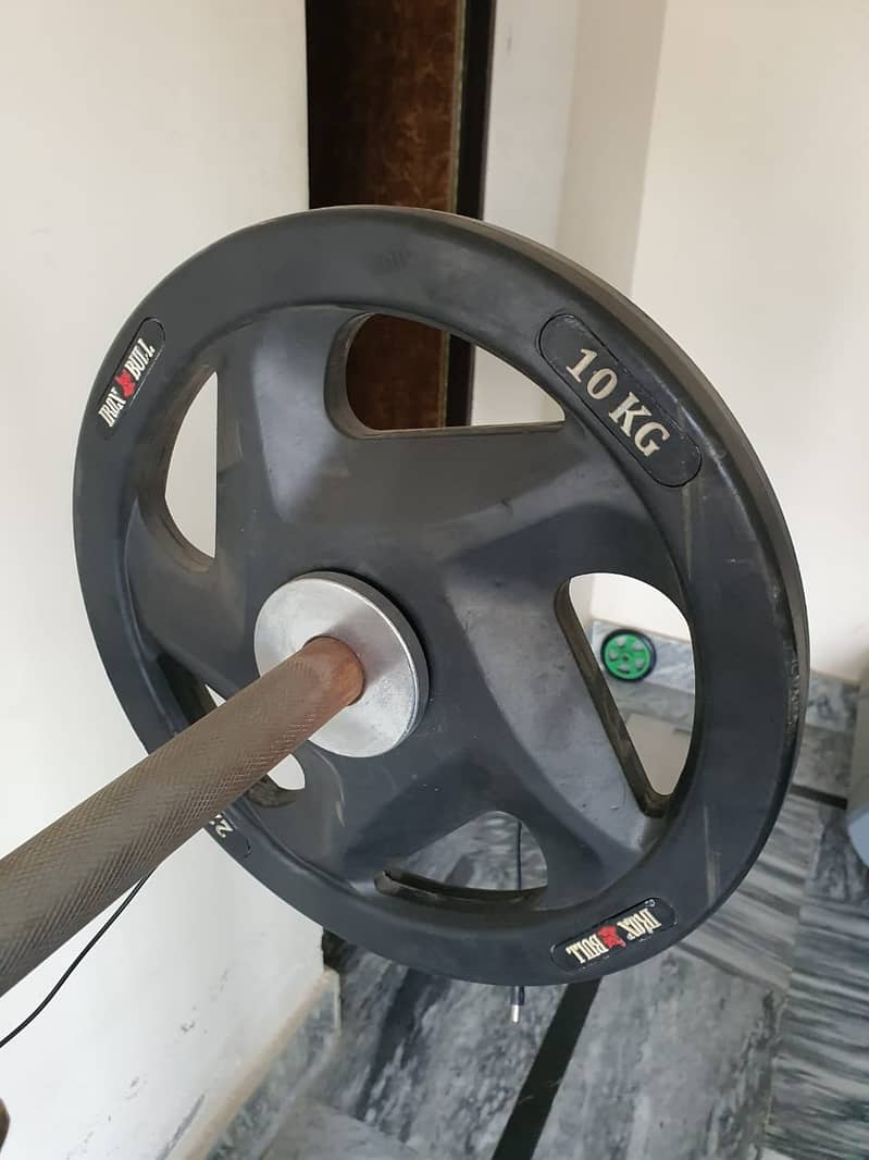 Dumbbells / Weight plates / Rowing/Pulling machine / Bench / Bars 6