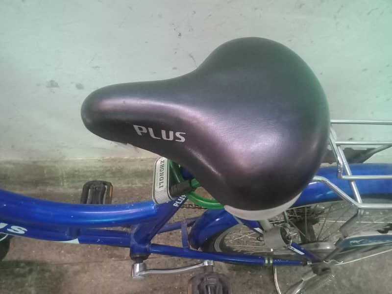 boy bicycle 2