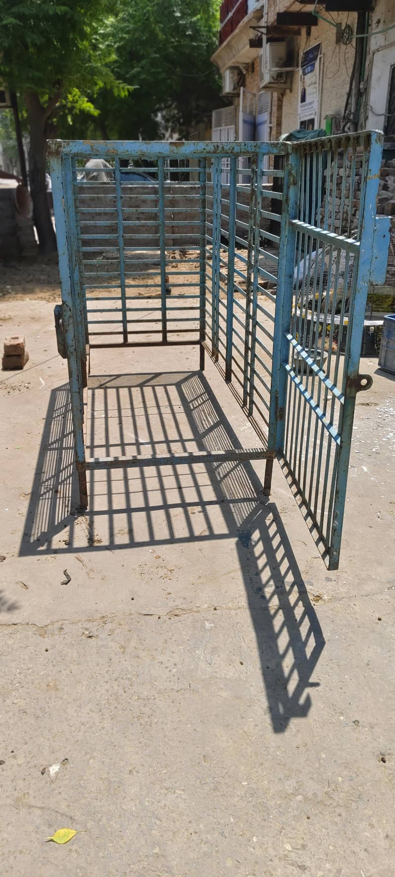animals cage 1