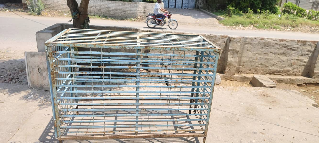 animals cage 2