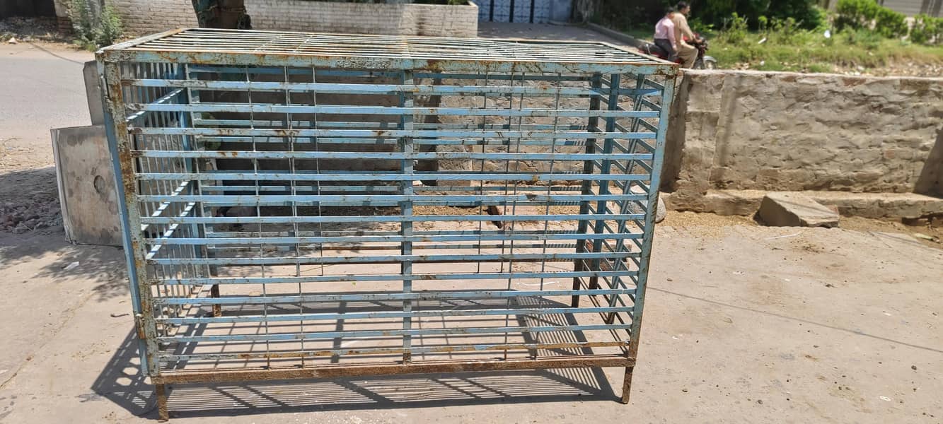 animals cage 3