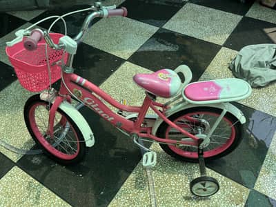 Giaot Kids Bicycle 1 month use