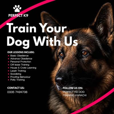 Professional Dog Trainer Services