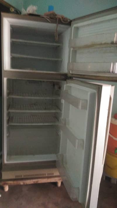 Pel fridge for sale