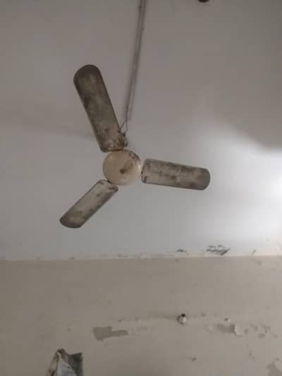 two fan for sale