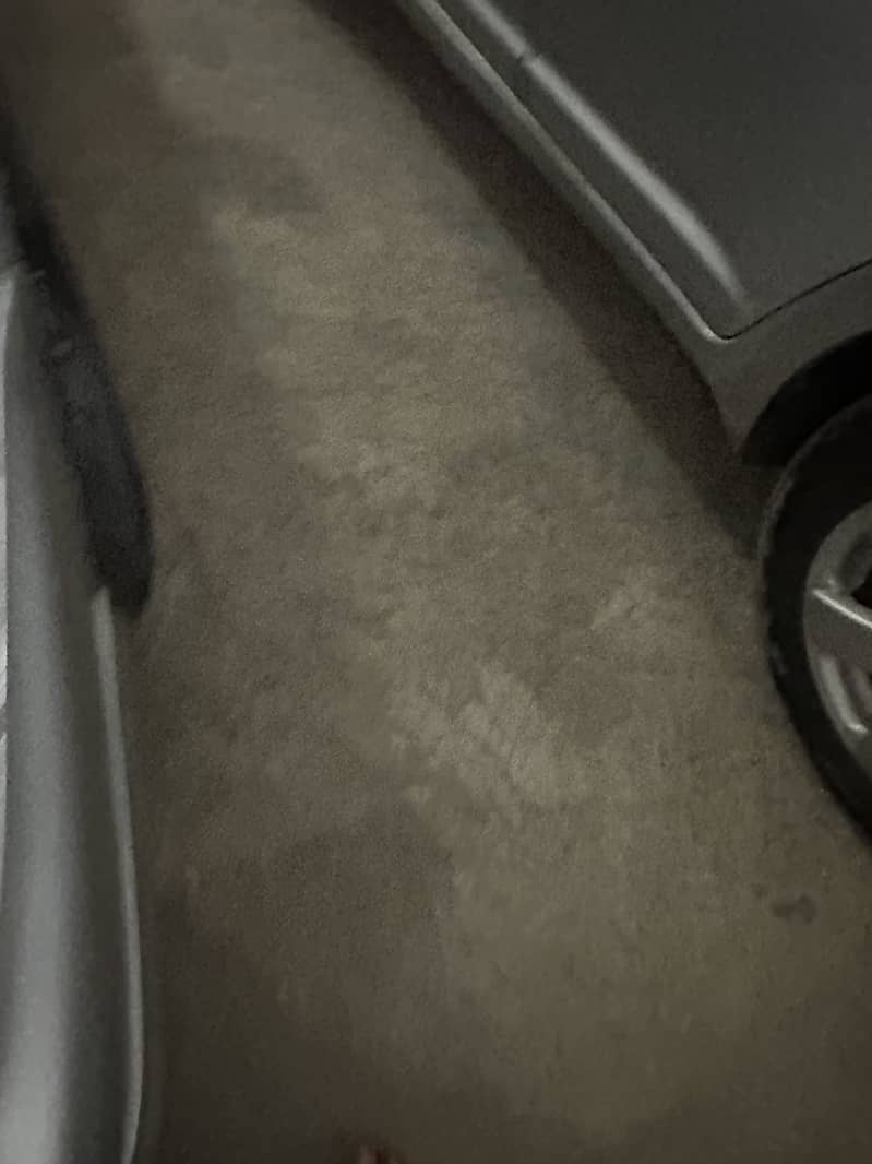 Suzuki 2