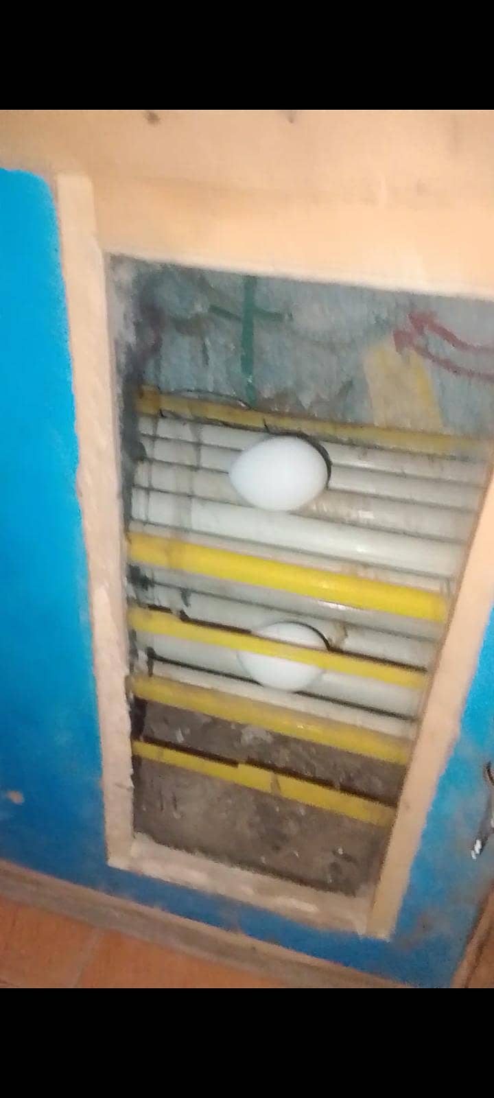 Incubator 0
