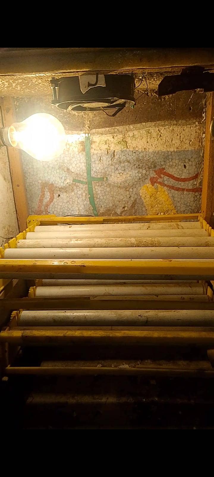 Incubator 2