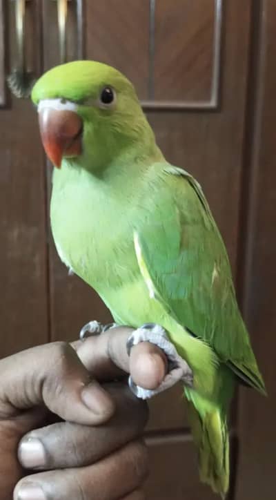 Jis bhai ko samjh aye rabta kar ly