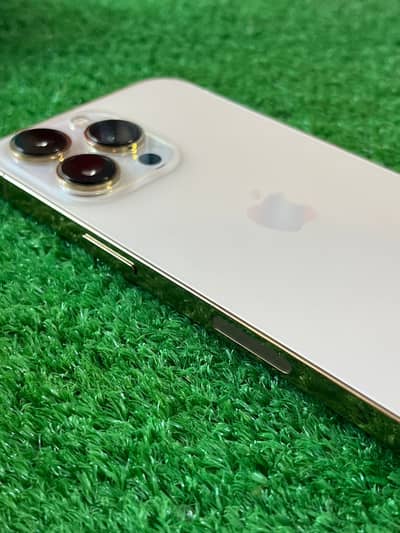 iPhone 13 Pro golden