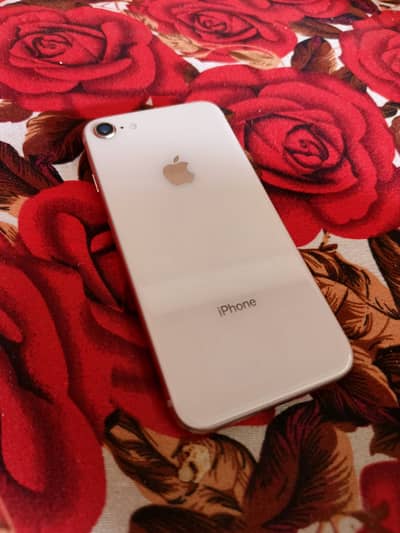 IPHONE 8 256GB