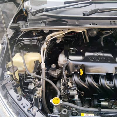 Toyota Gli