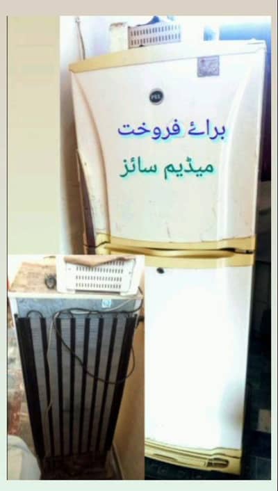pel refrigerator