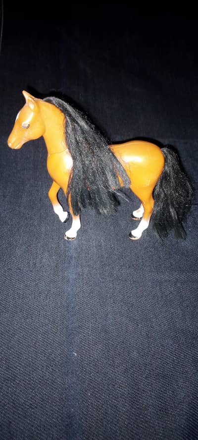 branded horse