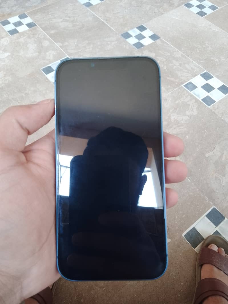 Apple iPhone 13 0