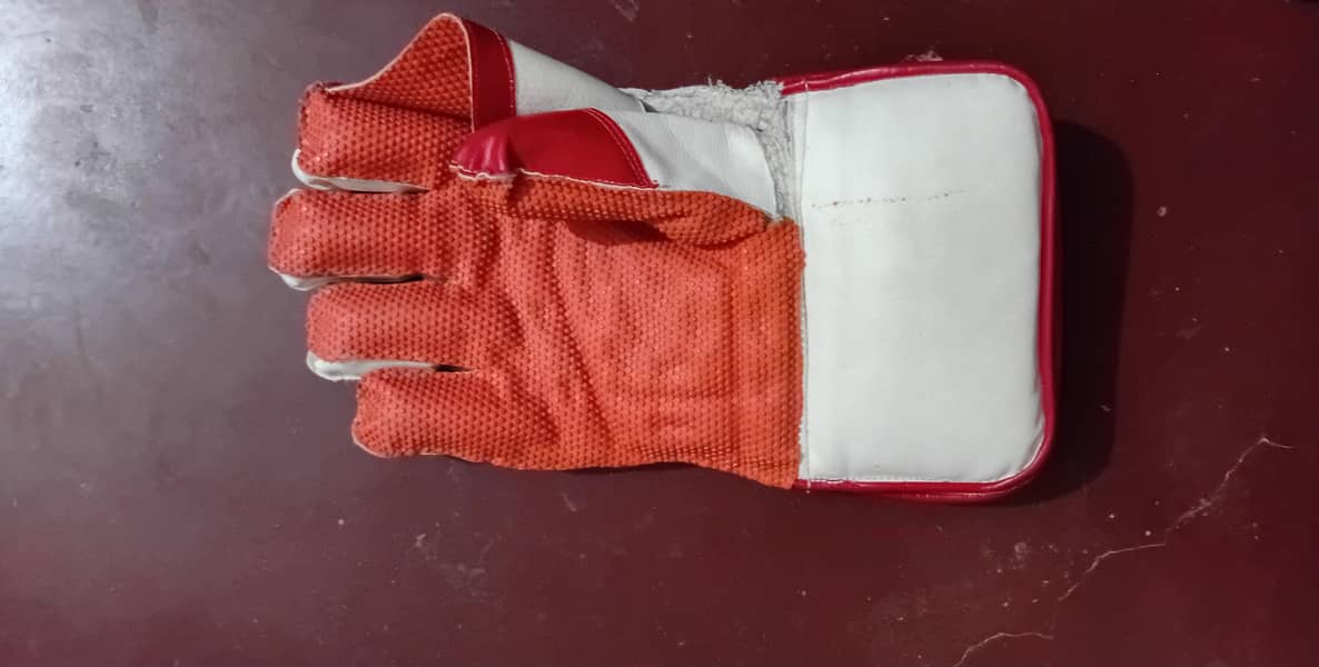 Gloves 1