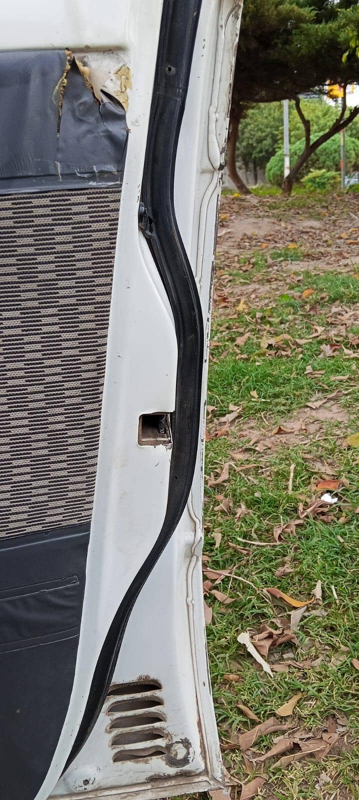 Suzuki 12