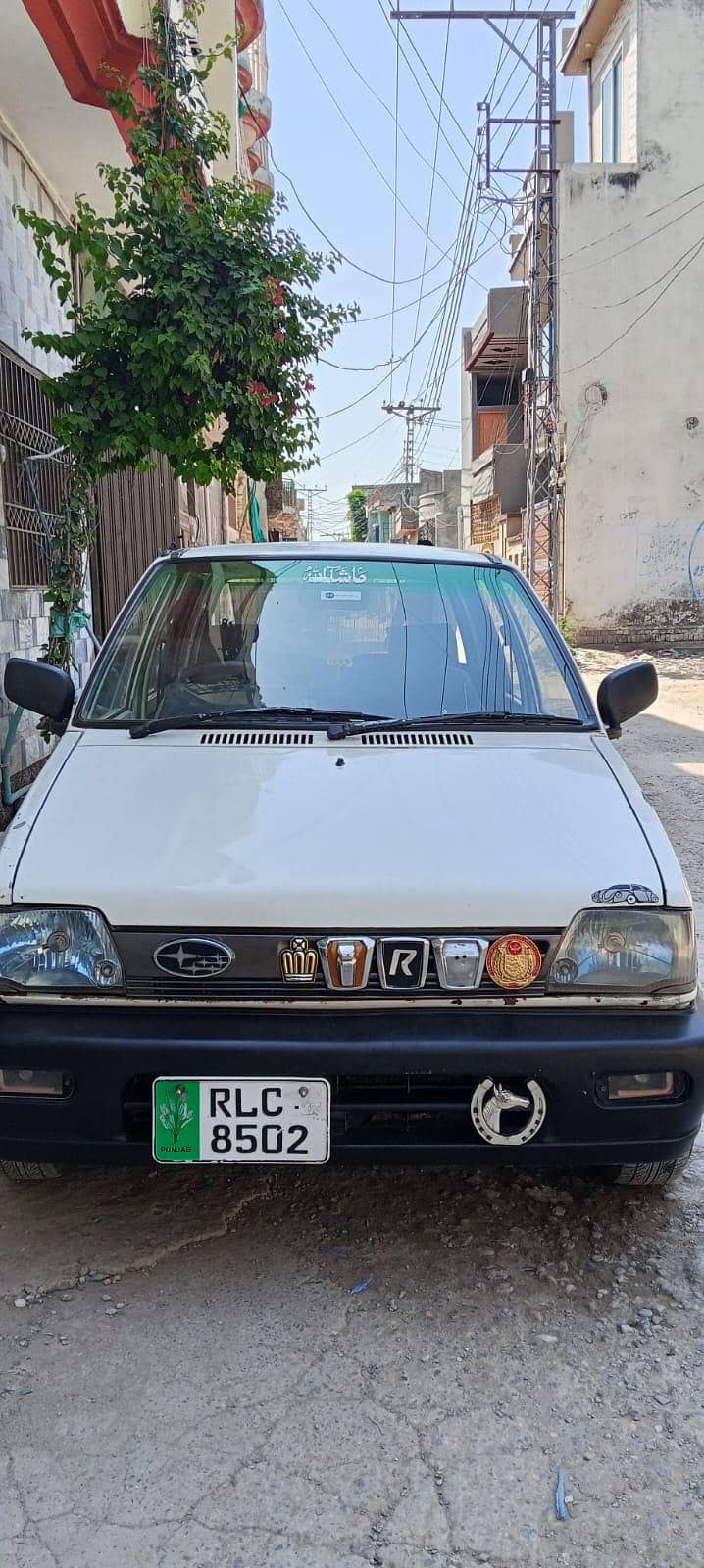Suzuki 14