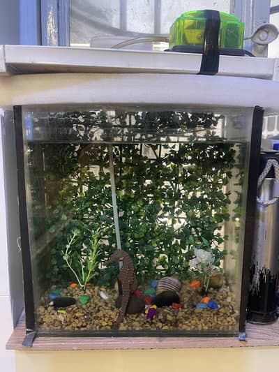 Fish Aquarium with Pump