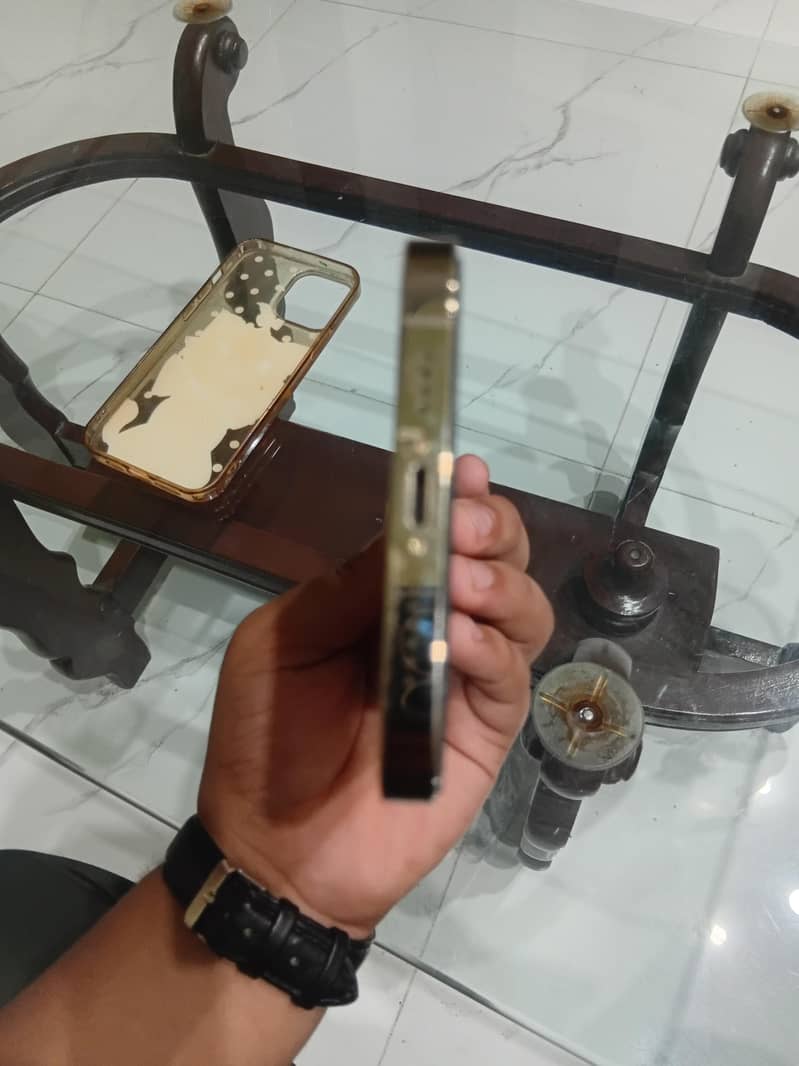 iphone 12 pro max 4