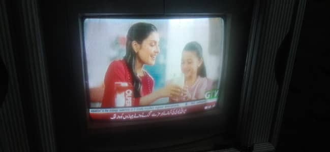 Nobel Tv 15 inch Total orreigonal hai No fault No repair