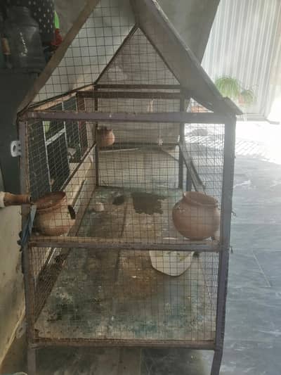 hen  cage